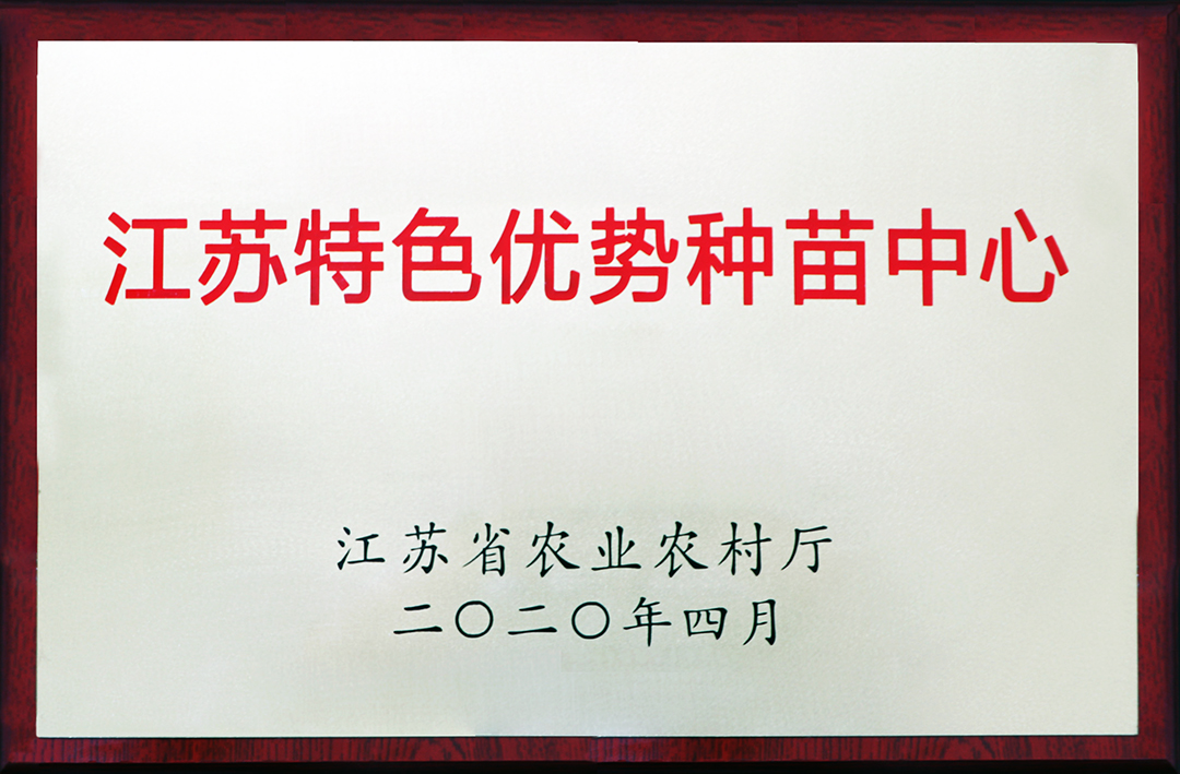 新奥门原料免费资料